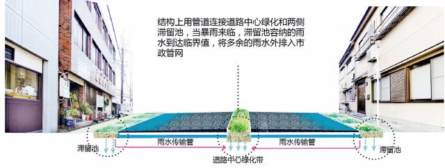 24种海绵城市设计措施全图解_17