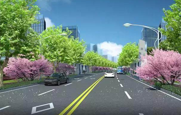 道路绿地设计原则与树种选择